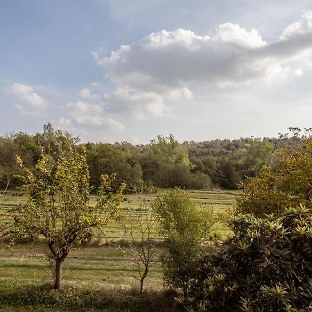 El Rebastral - Mas Vinyoles Natura San Pedro de Torelló Exterior foto
